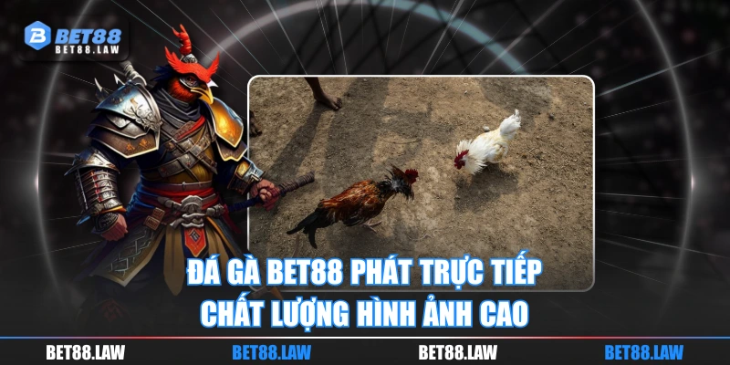 Đá gà BET88 phát trực tiếp chất lượng hình ảnh cao