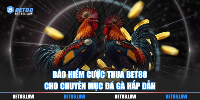 Bảo hiểm cược thua BET88 cho chuyên mục Đá Gà hấp dẫn